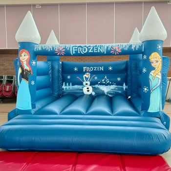 Frozen Castle